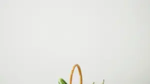 Practical guide for New Zealand creators on contacting Sri Lanka brands selling on Amazon, pitching collabs, and monetising channels with real tactics and local context.