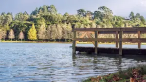 Practical guide for New Zealand advertisers to discover and partner with Czech Republic Shopee creators to boost product visibility through creator exposure.