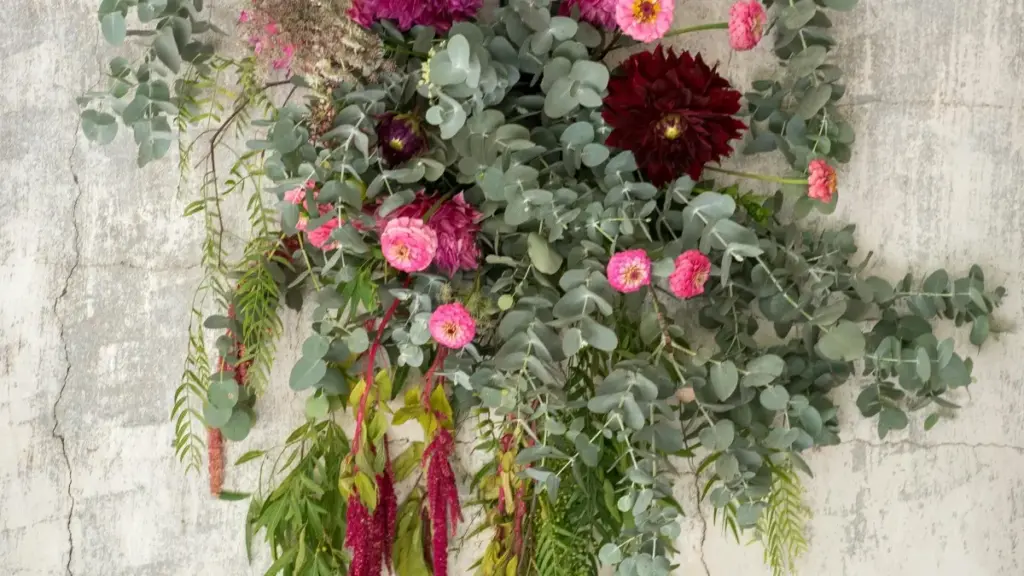 Practical guide for creators in New Zealand on contacting Canada brands via KakaoTalk to share limited-time discount codes—tools, outreach scripts, legal notes and campaign tips.