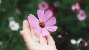 A practical NZ-focused guide to pitching United States brands on YouTube for free product samples, with outreach templates, platform tips and legal notes.