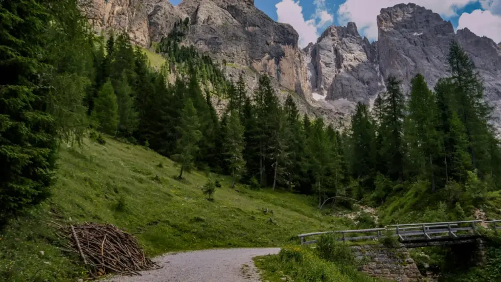 A practical guide for NZ creators on finding Estonia brands on Pinterest, pitching travel vlog collabs, and turning visual inspo into paid partnerships.