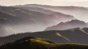 A practical guide for NZ advertisers on finding Kazakhstan Douyin creators for makeup tutorials, spotting good fits, and avoiding dodgy creator deals.