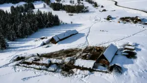 A practical guide for New Zealand creators on finding German brands on VK, pitching outfit collabs, and turning brand products into scroll-stopping looks.