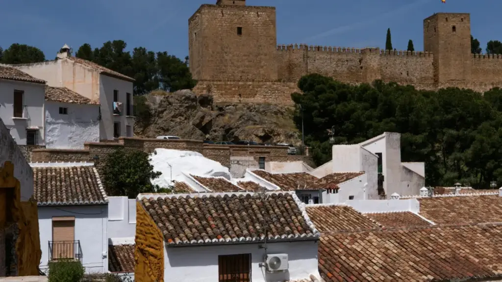 A practical playbook for New Zealand creators to find Egypt brands on Moj, pitch properly, and turn chats into paid sponsorships.