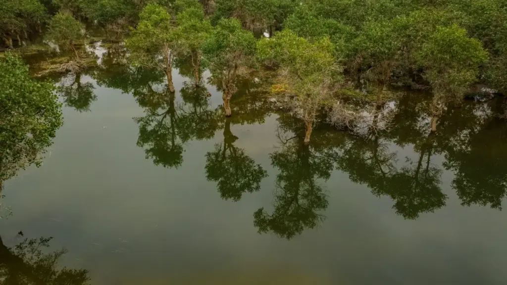 A street-smart guide for Kiwi creators on when Zalo helps, when it doesn’t, and how to land Iceland brand collabs for travel vlogs without looking spammy.