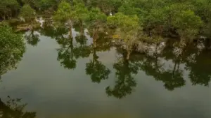 A street-smart guide for Kiwi creators on when Zalo helps, when it doesn’t, and how to land Iceland brand collabs for travel vlogs without looking spammy.