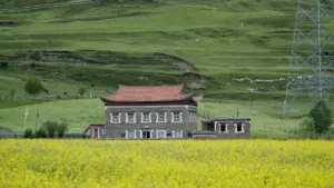 Practical ways to spot Poland-based Apple Music creators, vet fit, and run low-drama product seeding that actually gets replies.